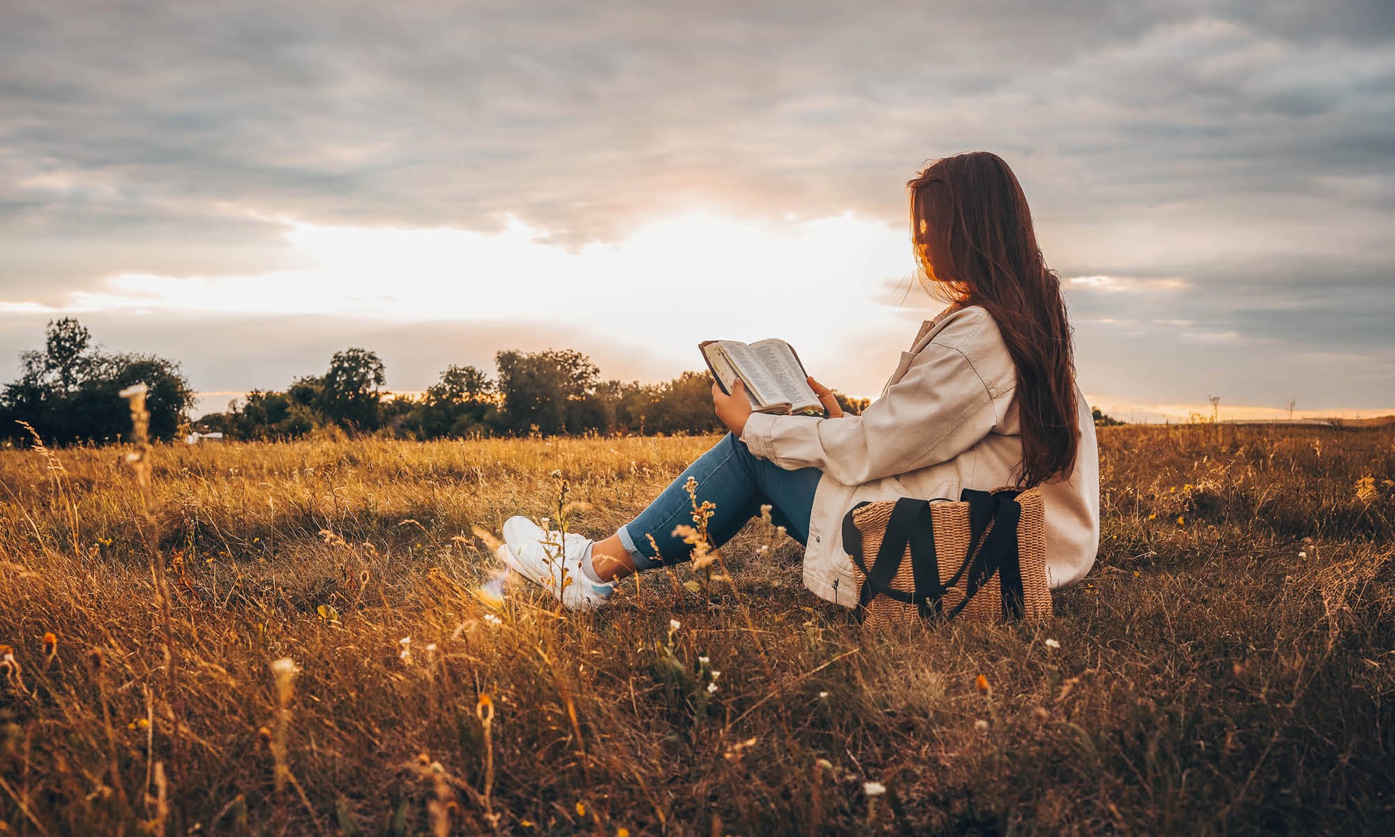 Bijbellezen Bijbellezen